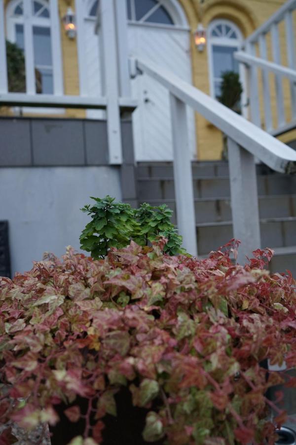 Turistgarden - House Of Ven Hotel Sankt Ibb ภายนอก รูปภาพ